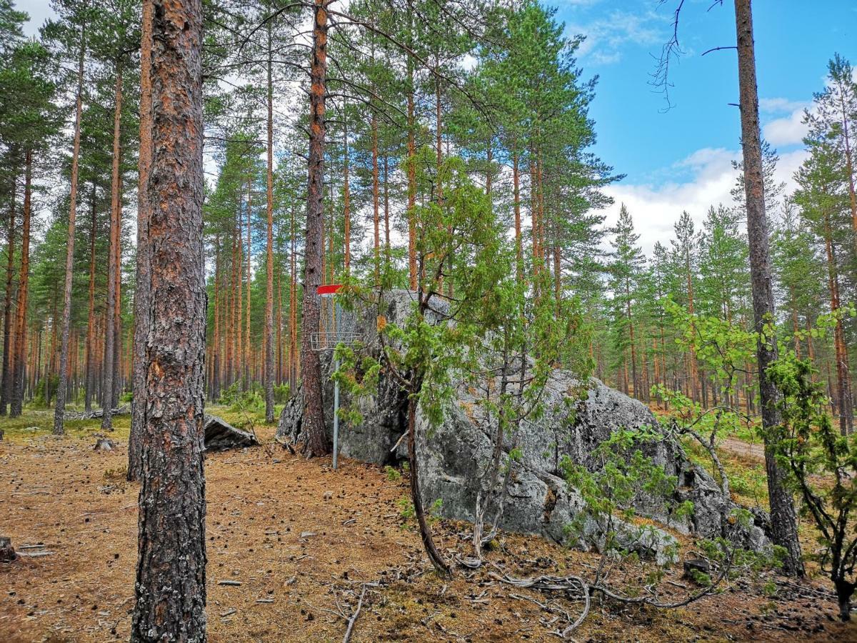考伊芙维艾美度假屋 Säkylä 外观 照片
